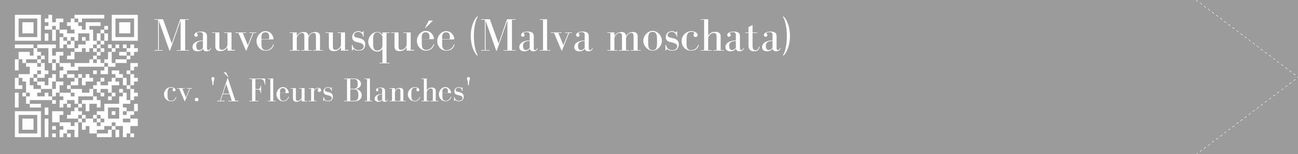 Étiquette de : Malva moschata cv. 'À Fleurs Blanches' - format c - style blanche52_simple_simplebod avec qrcode et comestibilité