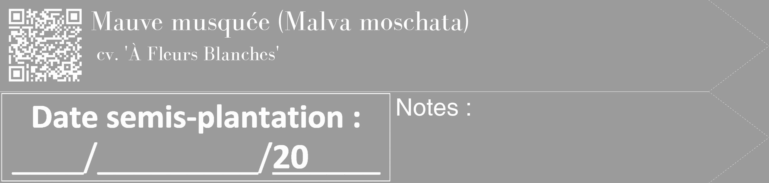 Étiquette de : Malva moschata cv. 'À Fleurs Blanches' - format c - style blanche52_simple_simplebod avec qrcode et comestibilité