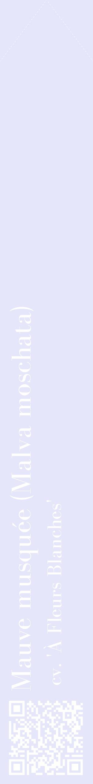 Étiquette de : Malva moschata cv. 'À Fleurs Blanches' - format c - style blanche55_simplebod avec qrcode et comestibilité