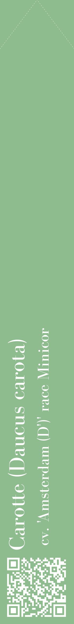 Étiquette de : Daucus carota cv. 'Amsterdam (D')' race Minicor - format c - style blanche13_simplebod avec qrcode et comestibilité