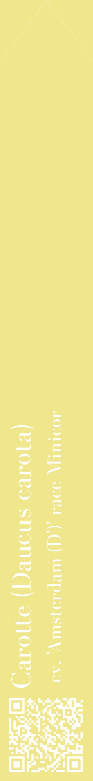 Étiquette de : Daucus carota cv. 'Amsterdam (D')' race Minicor - format c - style blanche20_simplebod avec qrcode et comestibilité