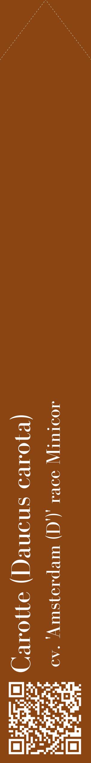 Étiquette de : Daucus carota cv. 'Amsterdam (D')' race Minicor - format c - style blanche30_simplebod avec qrcode et comestibilité