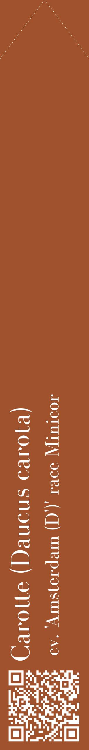 Étiquette de : Daucus carota cv. 'Amsterdam (D')' race Minicor - format c - style blanche32_simplebod avec qrcode et comestibilité