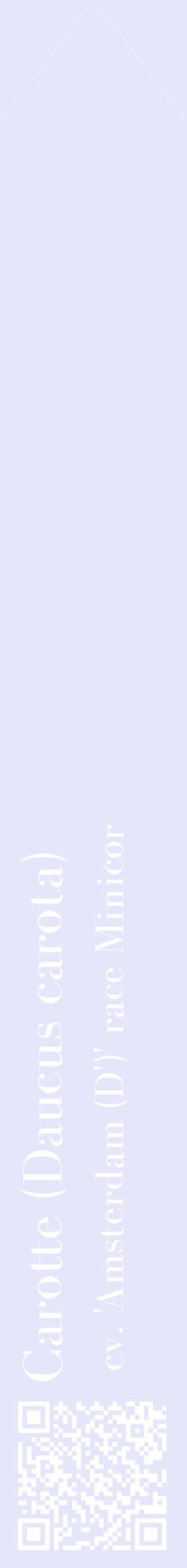Étiquette de : Daucus carota cv. 'Amsterdam (D')' race Minicor - format c - style blanche55_simplebod avec qrcode et comestibilité