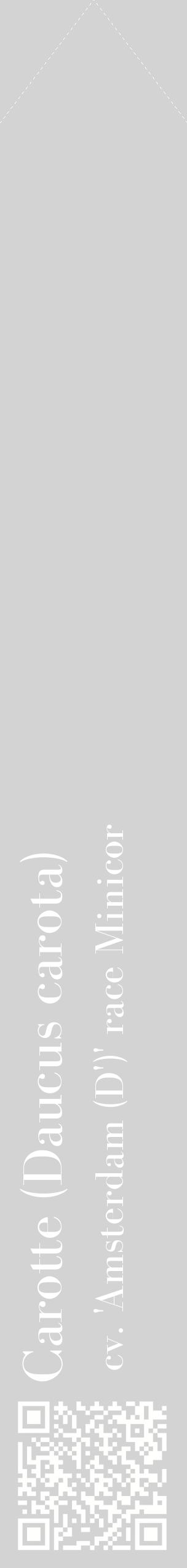 Étiquette de : Daucus carota cv. 'Amsterdam (D')' race Minicor - format c - style blanche56_simplebod avec qrcode et comestibilité