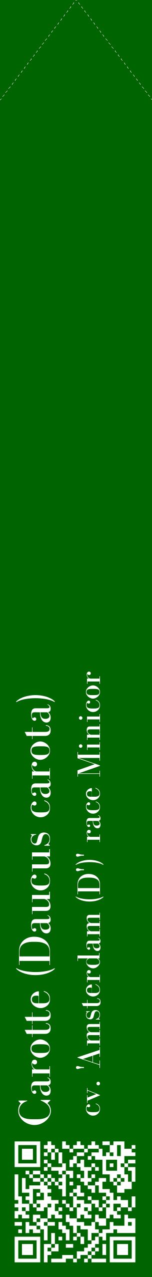 Étiquette de : Daucus carota cv. 'Amsterdam (D')' race Minicor - format c - style blanche8_simplebod avec qrcode et comestibilité