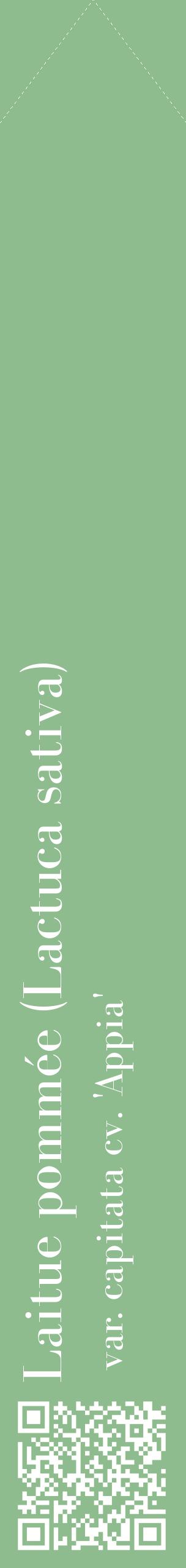 Étiquette de : Lactuca sativa var. capitata cv. 'Appia' - format c - style blanche13_simplebod avec qrcode et comestibilité