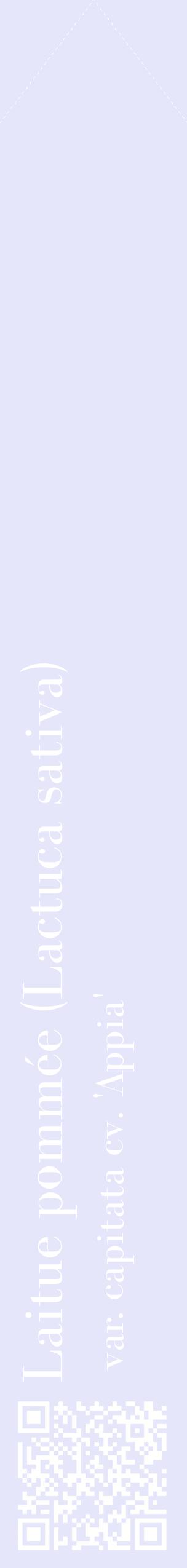 Étiquette de : Lactuca sativa var. capitata cv. 'Appia' - format c - style blanche55_simplebod avec qrcode et comestibilité