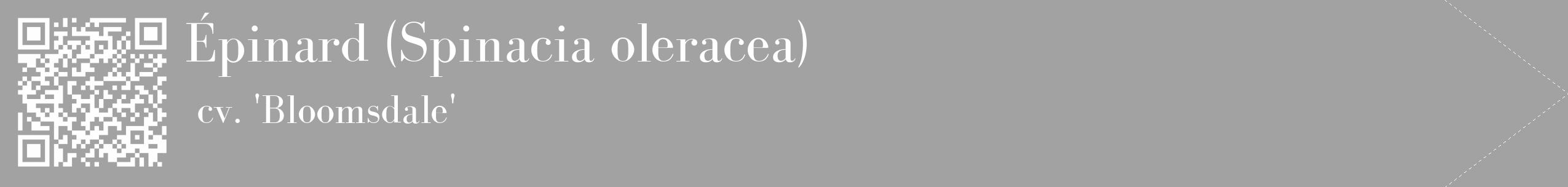 Étiquette de : Spinacia oleracea cv. 'Bloomsdale' - format c - style blanche38_simple_simplebod avec qrcode et comestibilité
