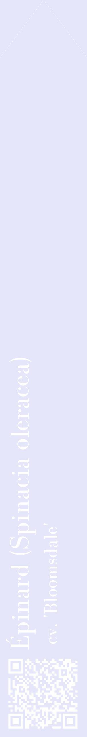 Étiquette de : Spinacia oleracea cv. 'Bloomsdale' - format c - style blanche55_simplebod avec qrcode et comestibilité
