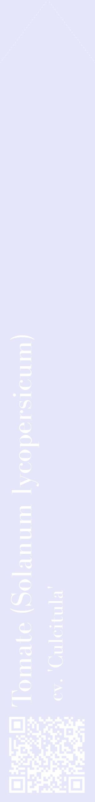 Étiquette de : Solanum lycopersicum cv. 'Culcitula' - format c - style blanche55_simplebod avec qrcode et comestibilité