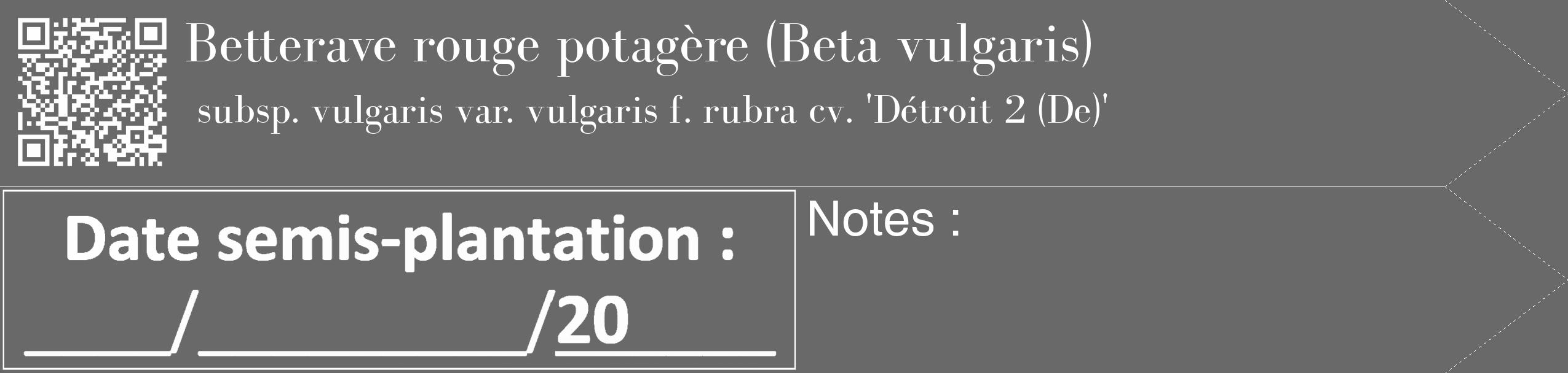 Étiquette de : Beta vulgaris subsp. vulgaris var. vulgaris f. rubra cv. 'Détroit 2 (De)' - format c - style blanche51_simple_simplebod avec qrcode et comestibilité