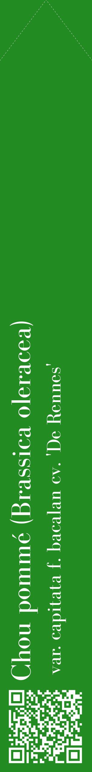 Étiquette de : Brassica oleracea var. capitata f. bacalan cv. 'De Rennes' - format c - style blanche10_simplebod avec qrcode et comestibilité