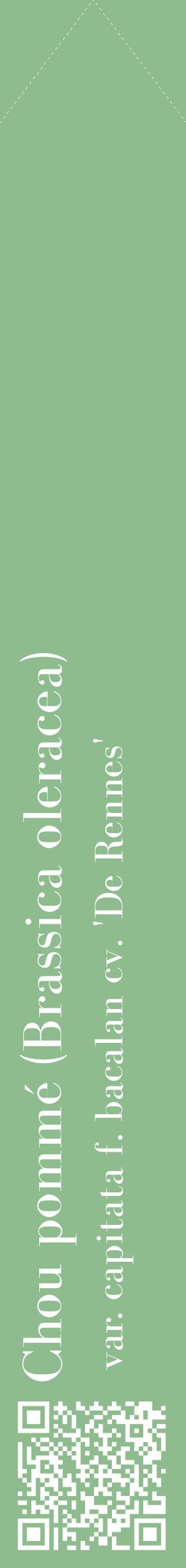 Étiquette de : Brassica oleracea var. capitata f. bacalan cv. 'De Rennes' - format c - style blanche13_simplebod avec qrcode et comestibilité