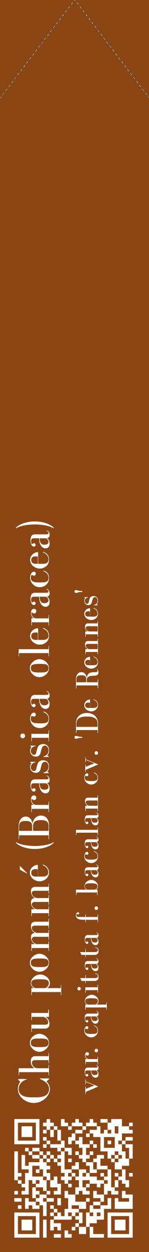 Étiquette de : Brassica oleracea var. capitata f. bacalan cv. 'De Rennes' - format c - style blanche30_simplebod avec qrcode et comestibilité
