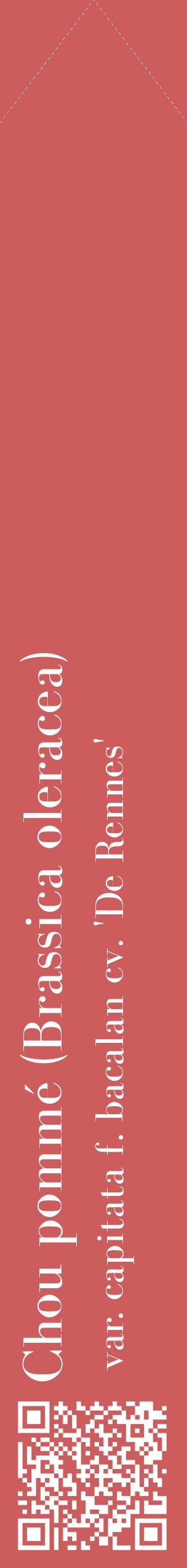 Étiquette de : Brassica oleracea var. capitata f. bacalan cv. 'De Rennes' - format c - style blanche35_simplebod avec qrcode et comestibilité