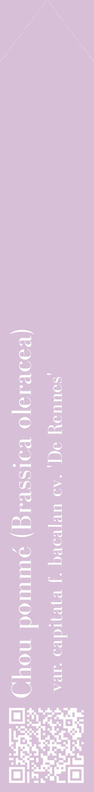Étiquette de : Brassica oleracea var. capitata f. bacalan cv. 'De Rennes' - format c - style blanche54_simplebod avec qrcode et comestibilité