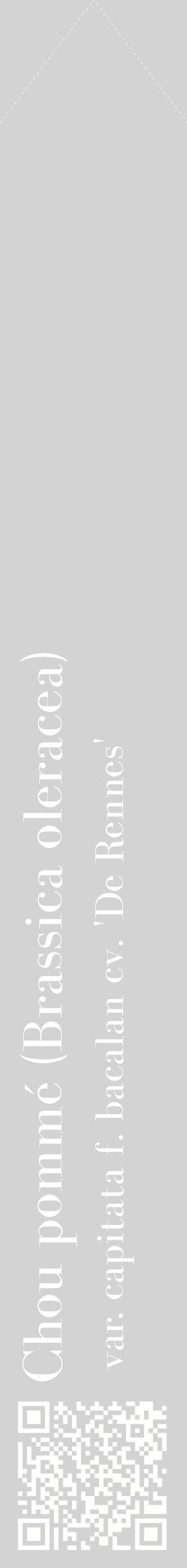 Étiquette de : Brassica oleracea var. capitata f. bacalan cv. 'De Rennes' - format c - style blanche56_simplebod avec qrcode et comestibilité