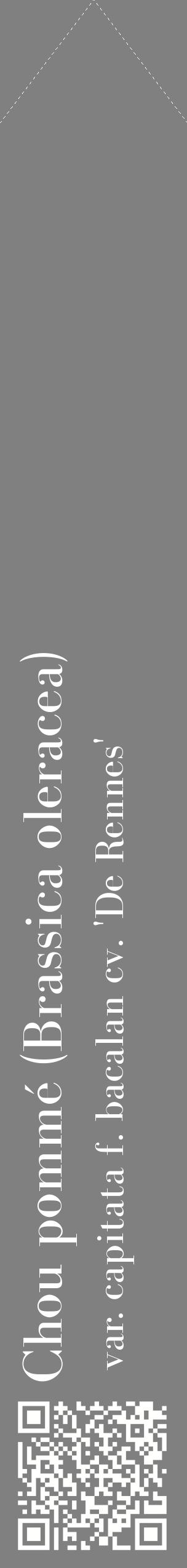 Étiquette de : Brassica oleracea var. capitata f. bacalan cv. 'De Rennes' - format c - style blanche57_simplebod avec qrcode et comestibilité