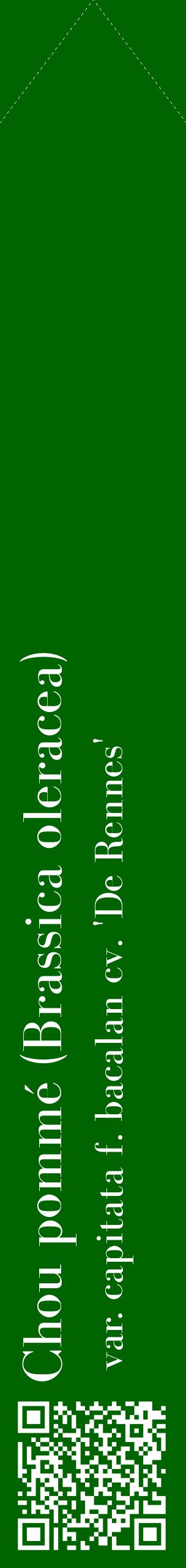 Étiquette de : Brassica oleracea var. capitata f. bacalan cv. 'De Rennes' - format c - style blanche8_simplebod avec qrcode et comestibilité