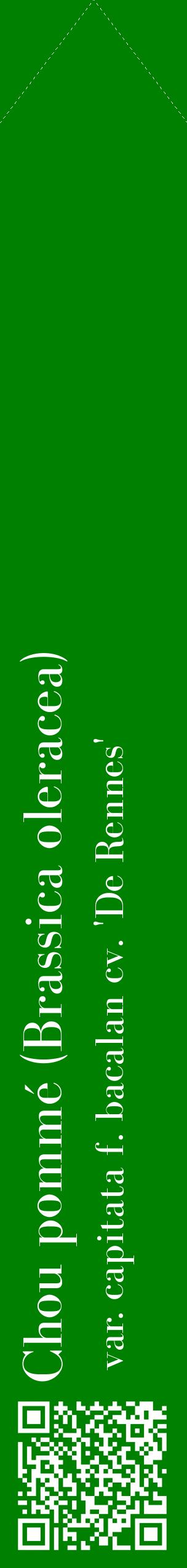 Étiquette de : Brassica oleracea var. capitata f. bacalan cv. 'De Rennes' - format c - style blanche9_simplebod avec qrcode et comestibilité