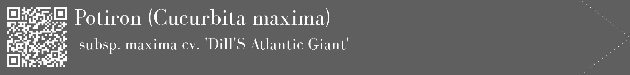 Étiquette de : Cucurbita maxima subsp. maxima cv. 'Dill'S Atlantic Giant' - format c - style blanche10_simple_simplebod avec qrcode et comestibilité