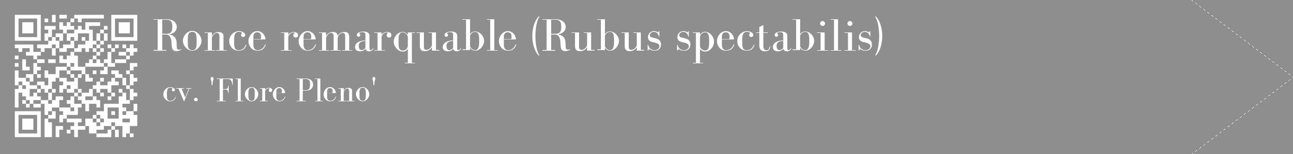 Étiquette de : Rubus spectabilis cv. 'Flore Pleno' - format c - style blanche25_simple_simplebod avec qrcode et comestibilité
