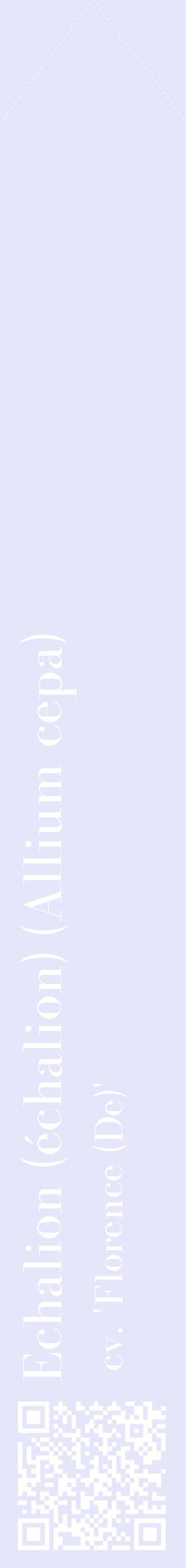 Étiquette de : Allium cepa cv. 'Florence (De)' - format c - style blanche55_simplebod avec qrcode et comestibilité