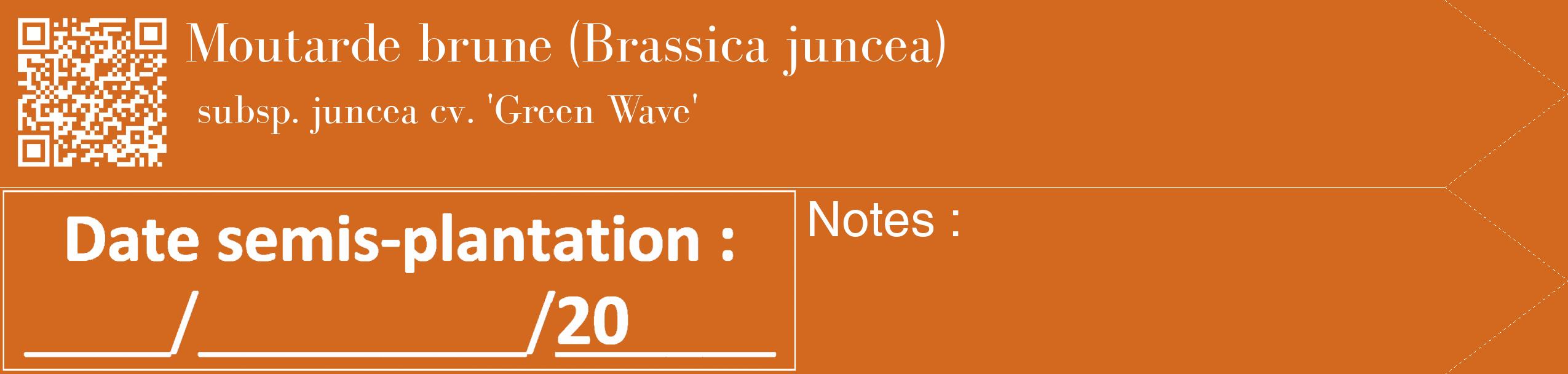 Étiquette de : Brassica juncea subsp. juncea cv. 'Green Wave' - format c - style blanche31_simple_simplebod avec qrcode et comestibilité