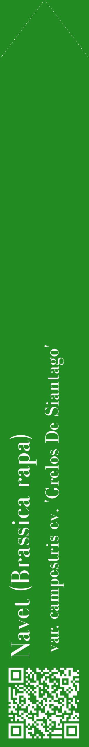 Étiquette de : Brassica rapa var. campestris cv. 'Grelos De Siantago' - format c - style blanche10_simplebod avec qrcode et comestibilité