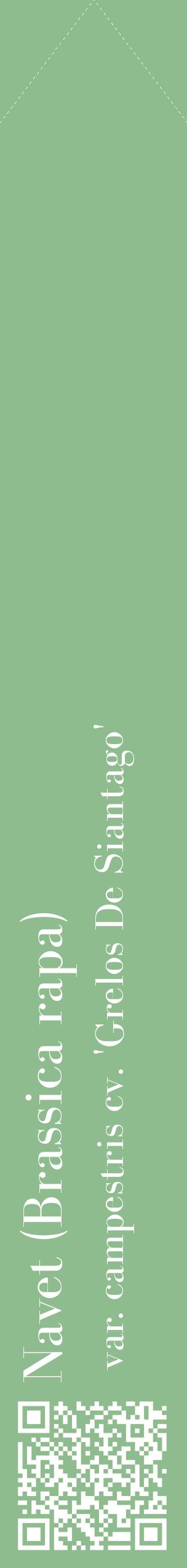 Étiquette de : Brassica rapa var. campestris cv. 'Grelos De Siantago' - format c - style blanche13_simplebod avec qrcode et comestibilité