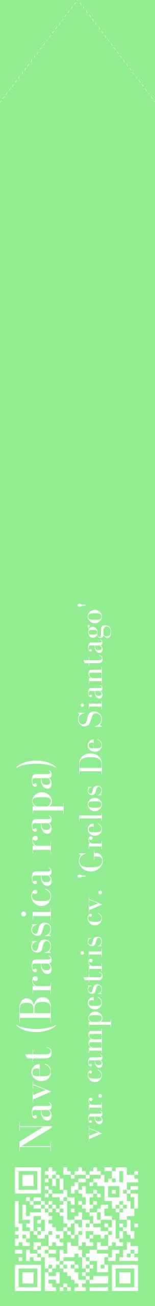 Étiquette de : Brassica rapa var. campestris cv. 'Grelos De Siantago' - format c - style blanche15_simplebod avec qrcode et comestibilité