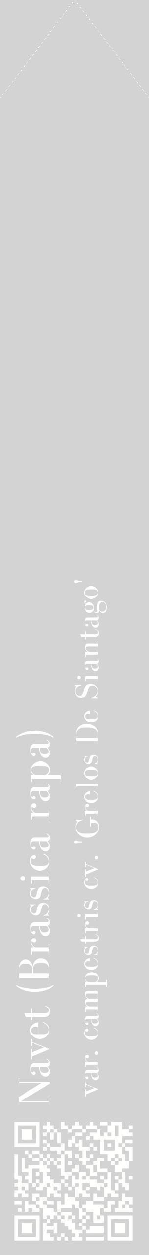 Étiquette de : Brassica rapa var. campestris cv. 'Grelos De Siantago' - format c - style blanche56_simplebod avec qrcode et comestibilité