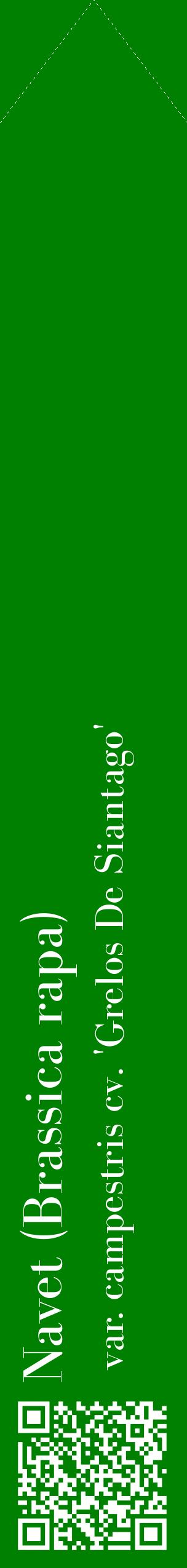 Étiquette de : Brassica rapa var. campestris cv. 'Grelos De Siantago' - format c - style blanche9_simplebod avec qrcode et comestibilité