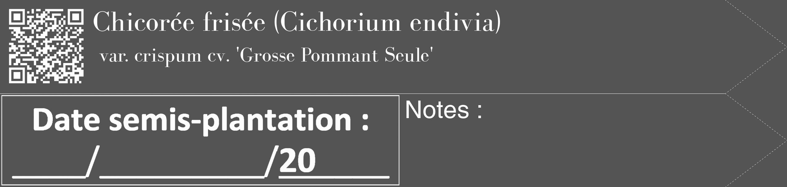 Étiquette de : Cichorium endivia var. crispum cv. 'Grosse Pommant Seule' - format c - style blanche30_simple_simplebod avec qrcode et comestibilité