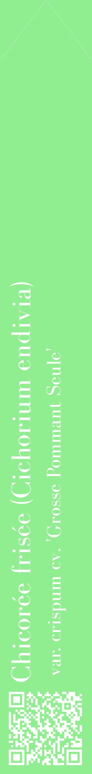 Étiquette de : Cichorium endivia var. crispum cv. 'Grosse Pommant Seule' - format c - style blanche15_simplebod avec qrcode et comestibilité