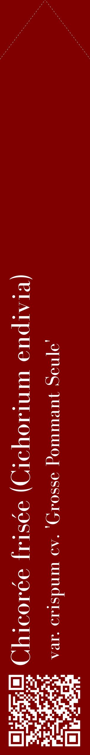 Étiquette de : Cichorium endivia var. crispum cv. 'Grosse Pommant Seule' - format c - style blanche29_simplebod avec qrcode et comestibilité
