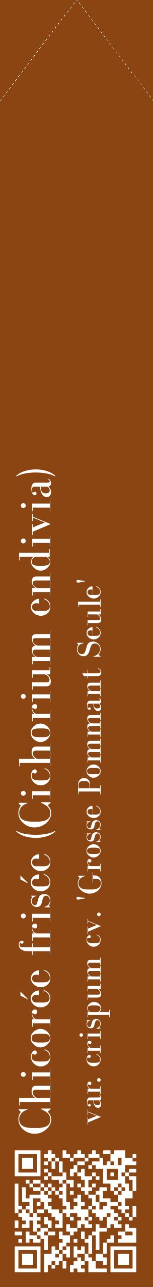 Étiquette de : Cichorium endivia var. crispum cv. 'Grosse Pommant Seule' - format c - style blanche30_simplebod avec qrcode et comestibilité