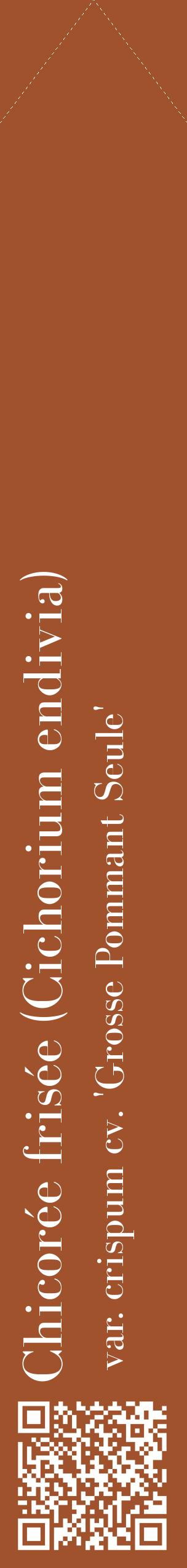 Étiquette de : Cichorium endivia var. crispum cv. 'Grosse Pommant Seule' - format c - style blanche32_simplebod avec qrcode et comestibilité