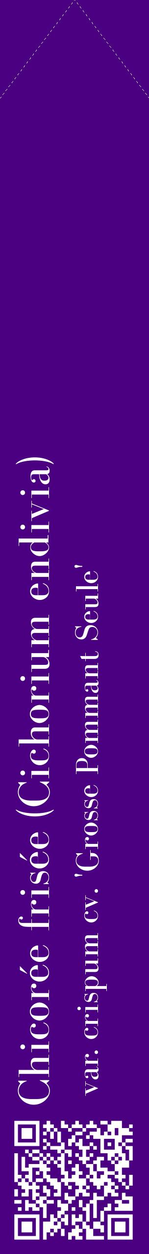 Étiquette de : Cichorium endivia var. crispum cv. 'Grosse Pommant Seule' - format c - style blanche47_simplebod avec qrcode et comestibilité