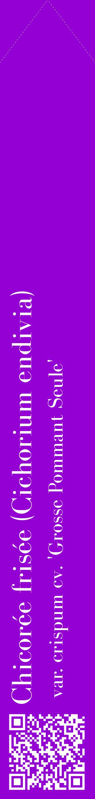 Étiquette de : Cichorium endivia var. crispum cv. 'Grosse Pommant Seule' - format c - style blanche48_simplebod avec qrcode et comestibilité