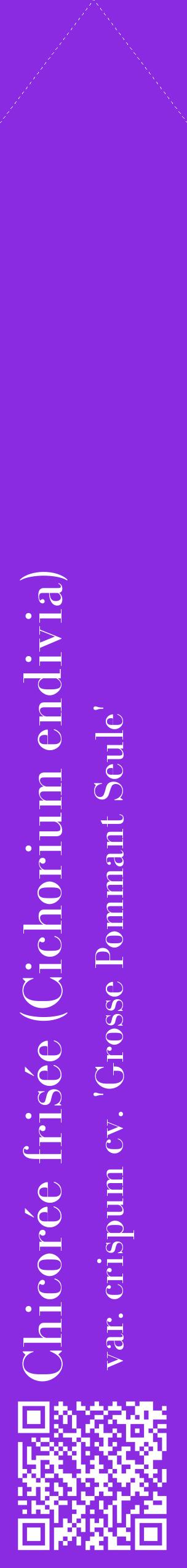 Étiquette de : Cichorium endivia var. crispum cv. 'Grosse Pommant Seule' - format c - style blanche49_simplebod avec qrcode et comestibilité