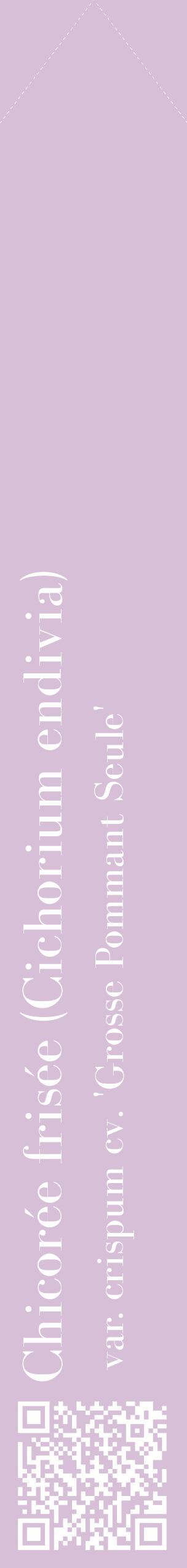 Étiquette de : Cichorium endivia var. crispum cv. 'Grosse Pommant Seule' - format c - style blanche54_simplebod avec qrcode et comestibilité