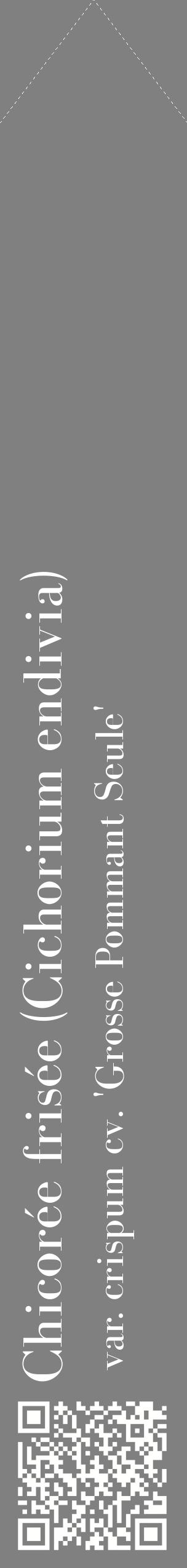 Étiquette de : Cichorium endivia var. crispum cv. 'Grosse Pommant Seule' - format c - style blanche57_simplebod avec qrcode et comestibilité