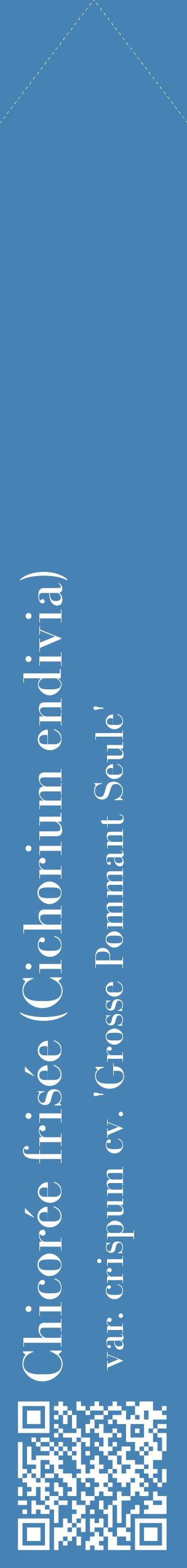 Étiquette de : Cichorium endivia var. crispum cv. 'Grosse Pommant Seule' - format c - style blanche5_simplebod avec qrcode et comestibilité