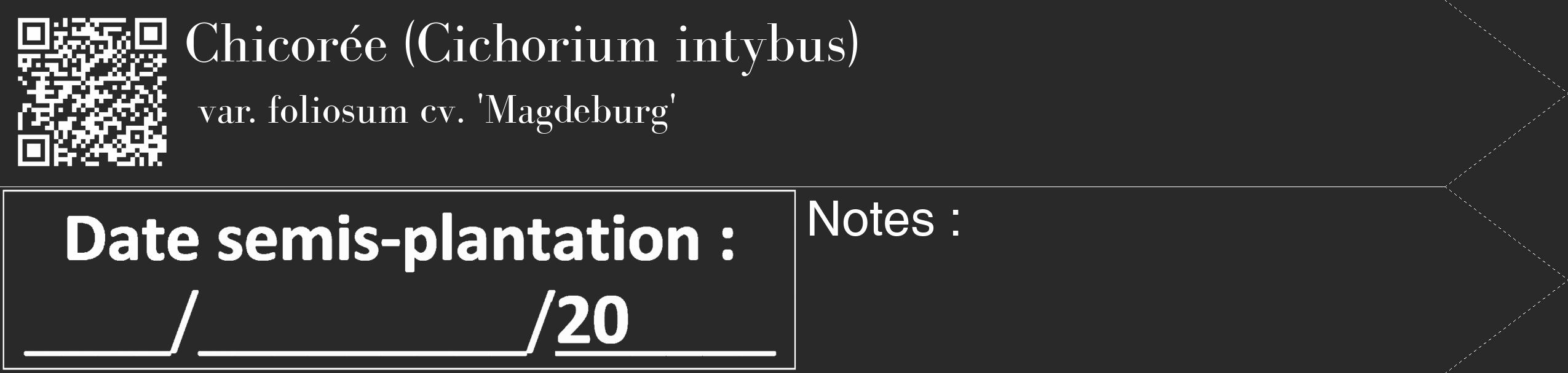 Étiquette de : Cichorium intybus var. foliosum cv. 'Magdeburg' - format c - style blanche34_simple_simplebod avec qrcode et comestibilité