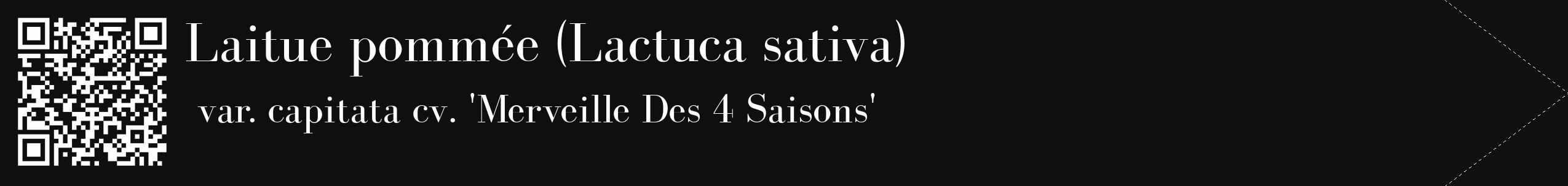 Étiquette de : Lactuca sativa var. capitata cv. 'Merveille Des 4 Saisons' - format c - style blanche7_simple_simplebod avec qrcode et comestibilité