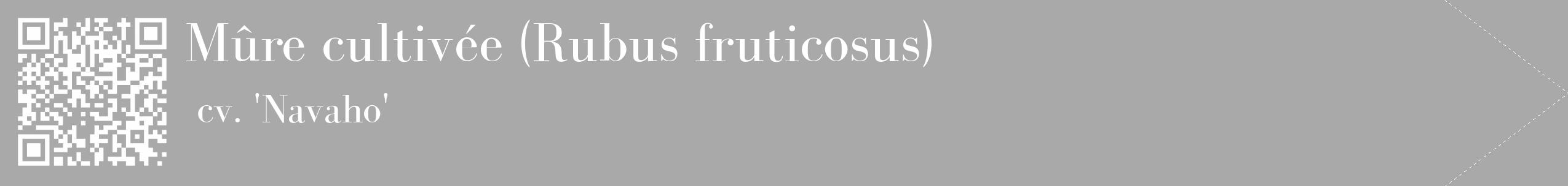Étiquette de : Rubus fruticosus cv. 'Navaho' - format c - style blanche13_simple_simplebod avec qrcode et comestibilité