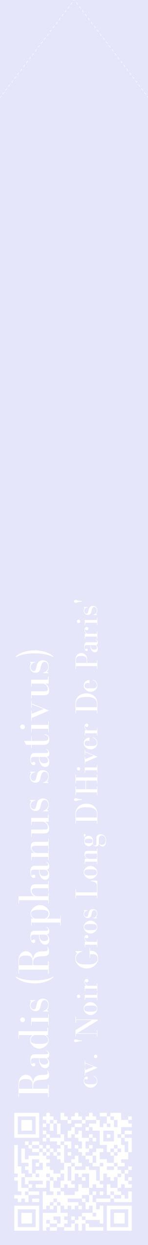 Étiquette de : Raphanus sativus cv. 'Noir Gros Long D'Hiver De Paris' - format c - style blanche55_simplebod avec qrcode et comestibilité