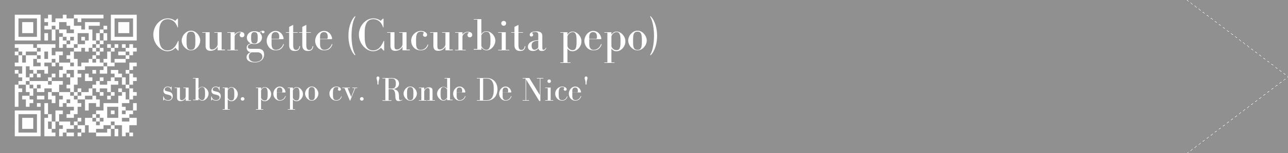 Étiquette de : Cucurbita pepo subsp. pepo cv. 'Ronde De Nice' - format c - style blanche4_simple_simplebod avec qrcode et comestibilité